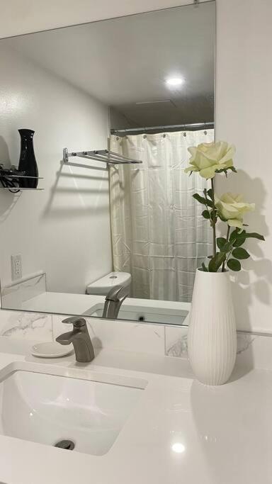 Unit #204 Cozy Mountain View 2Br In Canmore Downtown Ngoại thất bức ảnh